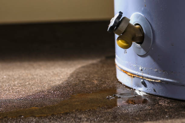 Best Water damage contractors near me  in Madison, IL