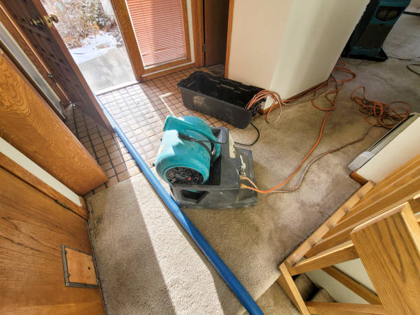Best Mold removal after water damage  in Madison, IL