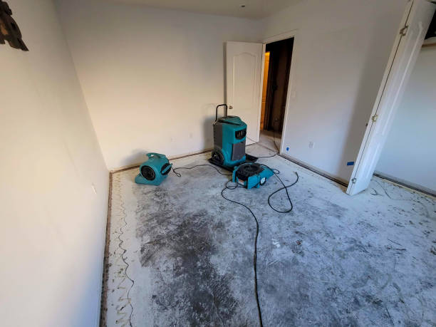 Best Water damage restoration near me  in Madison, IL