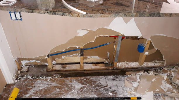 Best Fire Damage Restoration  in Madison, IL