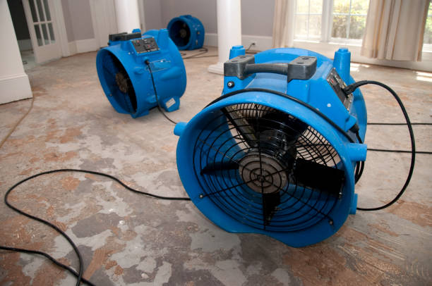 Fire Damage Restoration in Madison, IL