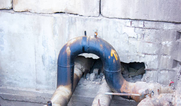 Best Professional water damage repair  in Madison, IL